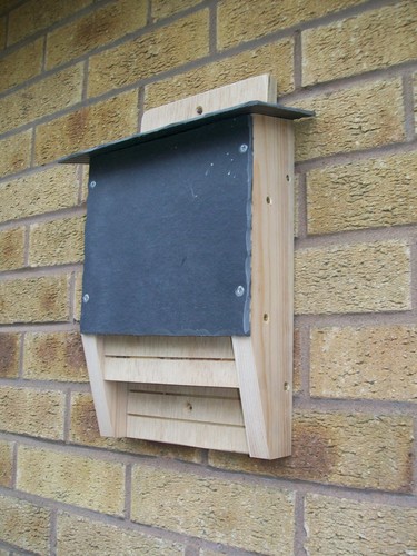 Twin chamber wooden bat nest - twin,