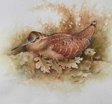 Contemporary watercolour - contemporary,
