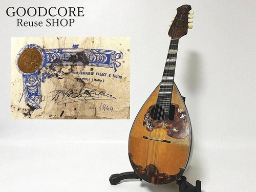 Raffaele calace 1964 mandolin - raffaele,