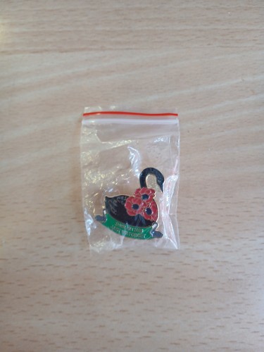 Dawlish black swan pin - swan,