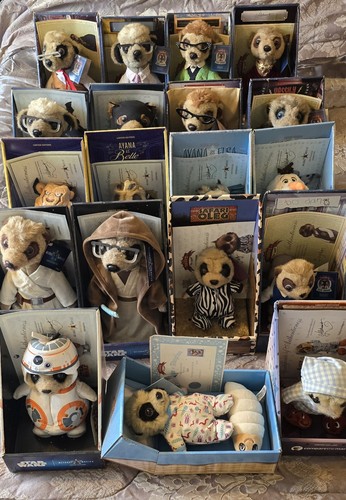 Compare the market meerkat - compare,