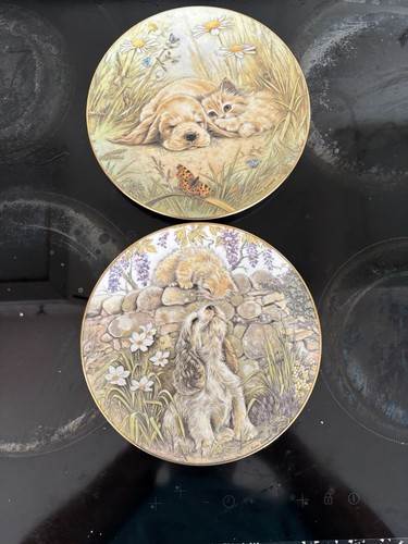 Two royal worcester plates - two, by