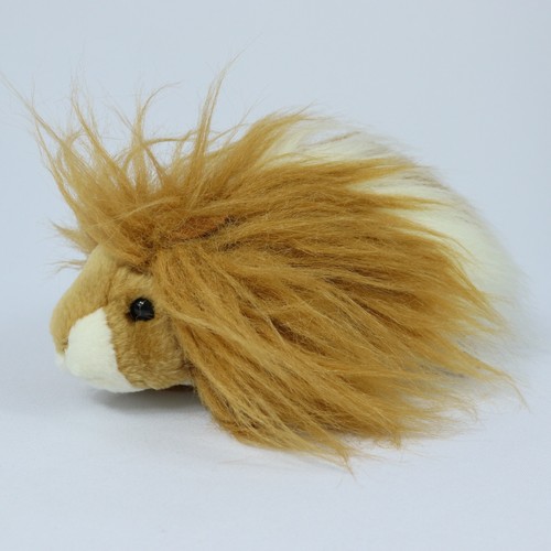 Douglas long haired guinea pig - long,