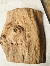ENGLISH OAK LIVE WANEY EDGE