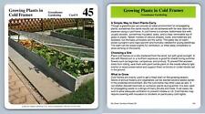 Growing Plants Cold Frames #8 Greenhouse - My Green Gardens 1987 Cardmark Card