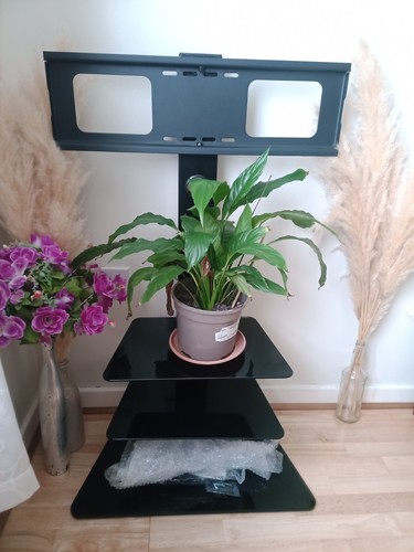 Cantilever stand with mount - cantilever,