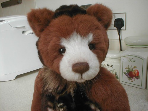 Charlie bears pamper with - pamper,