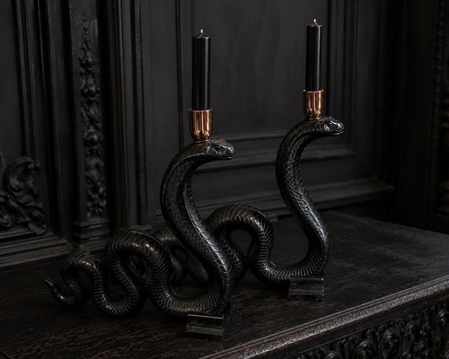Maxx black snake cobra - snake,