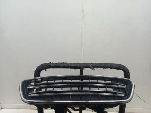 Mini countryman grille - (bmw),