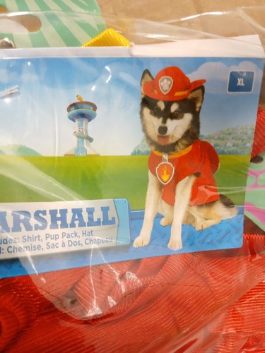 Marshall paw patrol dog coat - marshall,