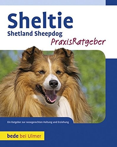 Charlotte schwartz sheltie - charlotte,