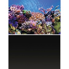 Superfish Deco Poster Aquarium