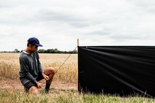 ➕ 5 Pole Windbreak 5.7m Wood