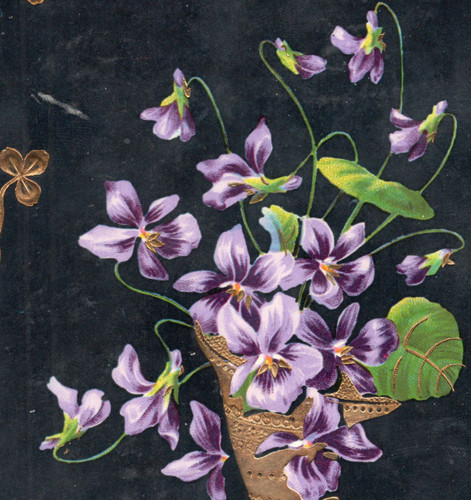 125 252 postcard flowers - 125/252,