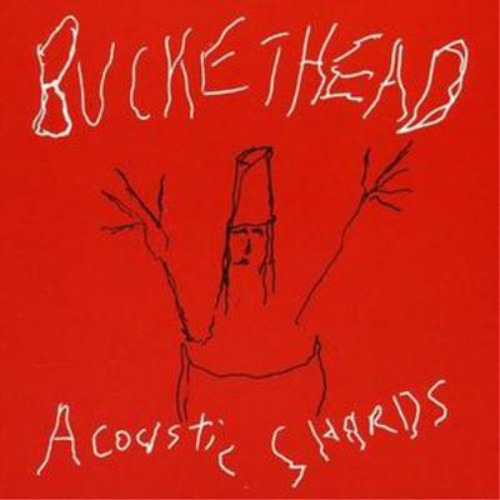 Buckethead acoustic shards - acoustic,