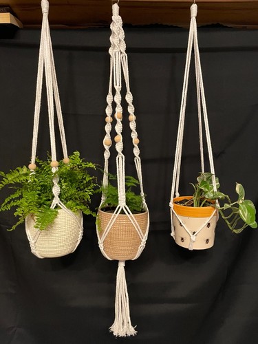 Macrame plant hanger garden - plant,