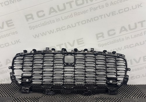 Genuine jaguar type x152 - jaguar,