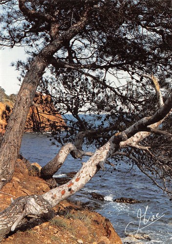 Esterel 4412 a 0273 - 83-esterel-n�, 4412-a/0273