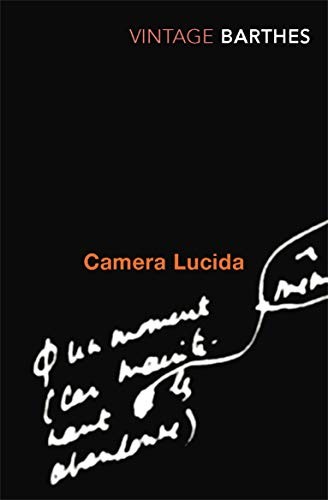 Camera lucida reflections - lucida:,