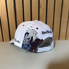 Max Verstappen Red Bull Racing