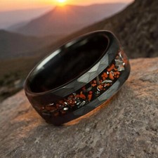 Dinosaur Bone & Meteorite