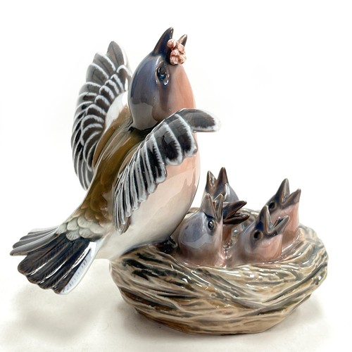 Dahl jensen bird a - bird, on