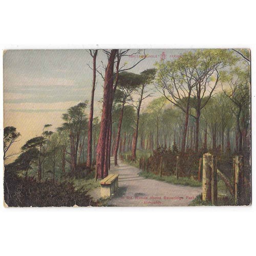 Kirkcaldy the woods - kirkcaldy, above