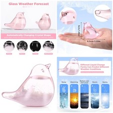 Bird Robin Barometer Storm