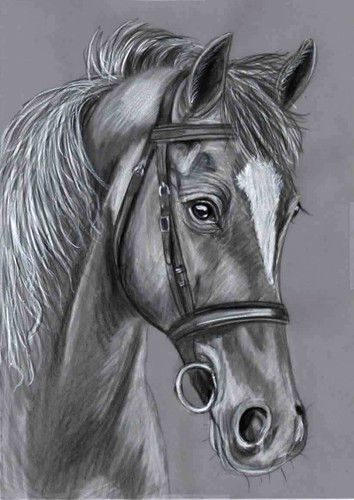 Original pencil drawing