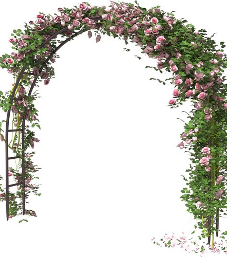 Metal arch wedding - metal,