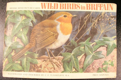 Wild birds britain - birds, in