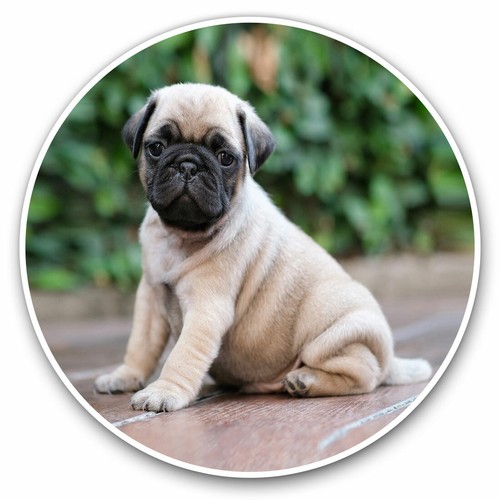 Vinyl stickers 10cm cute - stickers,