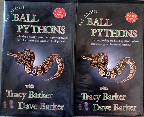 All about ball - pythons, by
