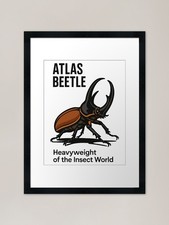 Atlas Beetle Power Insect