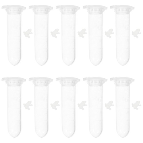 Pcs mini frog model small - pcs,