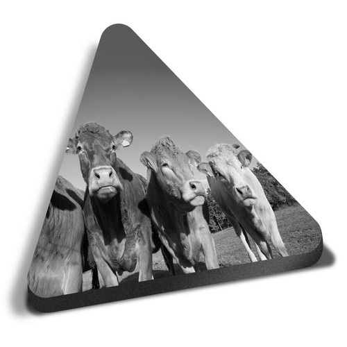 Triangle mdf magnets - mdf, bw