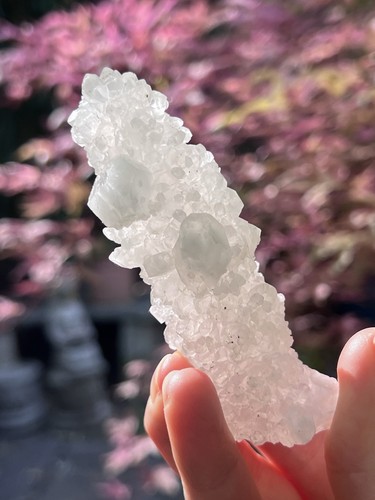 Apophyllite cluster mineral - apophyllite,