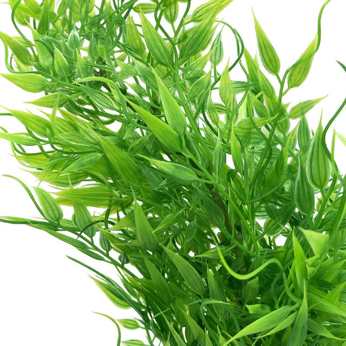 Large 30cm green plastic - green,