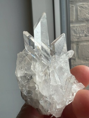 51g mini cluster zeca de - |,