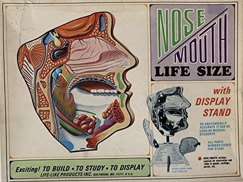 Vintage 1970 life like - vintage,