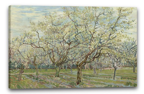Canvas frames vincent - vincent, gogh