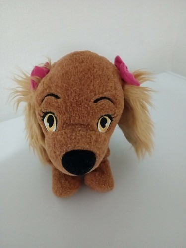 Lucy dog - lucy,