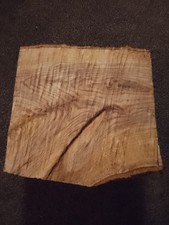 Fresh Cut  woodturning blank English Oak Crotch PVA sealed 5.5kg, lot1A