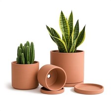 D'vine Dev Terracotta Pots for