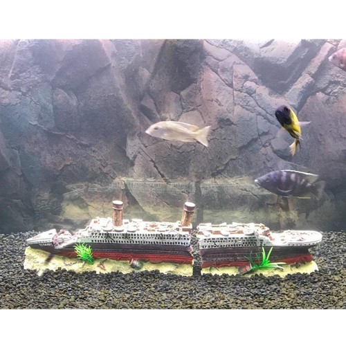 Aquarium fish tank - fish,