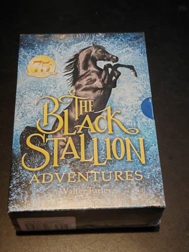 Black stallion adventures - black,