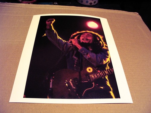 Bob marley picture 12x10 - bob,