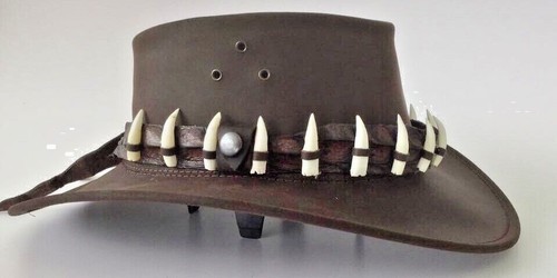 Genuine crocodile band and - crocodile,