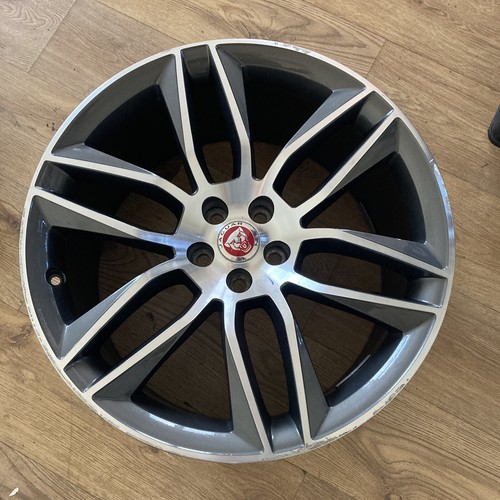Genuine jaguar type - type, 20