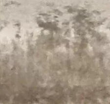 16 Inch cushion cover in Laura